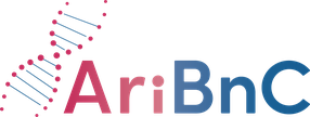 AriBnC